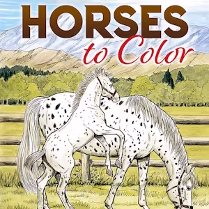 Big Book of Horses to Color